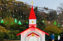 Ashikaga Flowers Park Pvt. One Day Tour with Pickup 