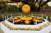 Ashikaga Flowers Park Pvt. One Day Tour with Pickup 