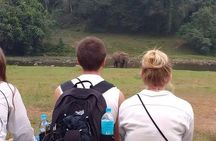 Wild Life Anakulam Jeep Safari