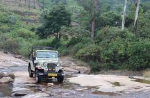 Wild Life Anakulam Jeep Safari