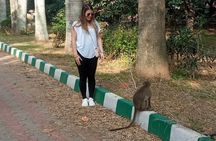 Best of Bengaluru English Guided tour All inclusive with Lunch