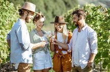 Queenstown Afternoon Gin, Wine & Beer Tour | NZ Local Guide