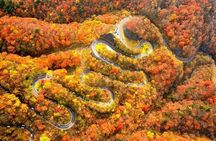 Tokyo: Toshogu Shrine (Nikko Toshogu), Lake Chuzenji, Kegon Falls