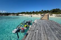 Electric Powered Clear Boat Mangrove Eco Tour