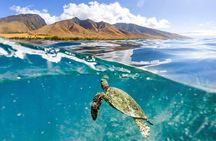 Turtles & Tacos Luxury Catamaran Snorkel