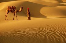 Dubai Evening Private 4x4 Dunes Bashing Desert Safari & Sunset 