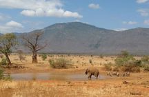 Full Day Safari Tour at Tsavo East National Park from Mombasa