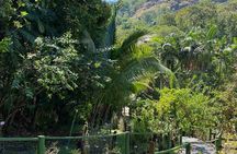 Nadi Fiji Historical Half Day Tour 