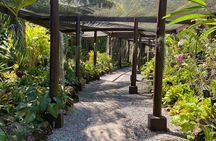 Nadi Fiji Historical Half Day Tour 