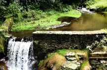 Discover Hiking Trails and a Convent in Desierto de los Leones 