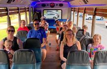 Aruba Create Your Own Island Tour