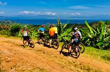 Gorilla Bike Tours 