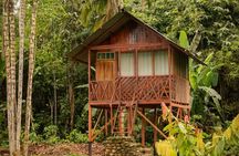 3 Days Manu Park Tour with Accommodation