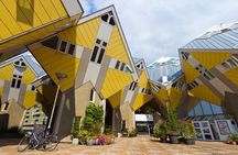 Private Day Tour: Rotterdam and The Hague. English or Spanish