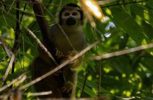 3 Days Manu Park Tour with Accommodation