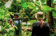6 Days Manu Jungle Adventure