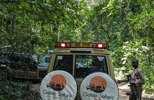 3 Days 2 Nights Kibale Chimpanzee Trekking