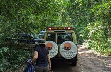 3 Days 2 Nights Kibale Chimpanzee Trekking