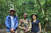 3 Days 2 Nights Kibale Chimpanzee Trekking