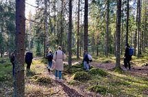 National Park Hike & Finnish Smoke Sauna Experience with Campfire Lunch