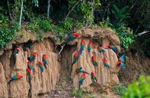 7 Days Manu National Park Adventure