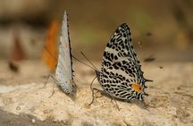 7 Days Manu National Park Adventure