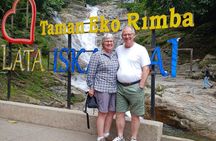 Cameron Highland Private Day Tour From Ipoh
