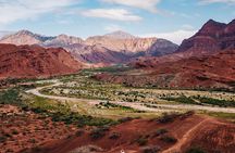 Tour to Cafayate from Salta 