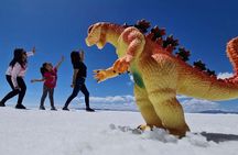 Tour Salar de Uyuni 1 day + Visit Salar de Uyuni (Private Service)