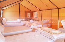 Douz Overnight Camp Stay in Sahara Desert with Dinner By Camel