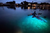 Clear Kayak Manatee Viewing Sunset and Glow Tour of Crystal River