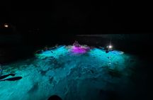 Clear Kayak Manatee Viewing Sunset and Glow Tour of Crystal River