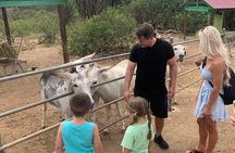 Aruba Private Island tour A/C Van