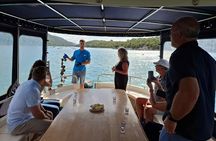 Dubrovnik Oyster Tasting Tour: Wine and Oysters on the Pelješac