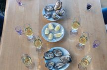 Dubrovnik Oyster Tasting Tour: Wine and Oysters on the Pelješac