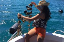 Dubrovnik Oyster Tasting Tour: Wine and Oysters on the Pelješac