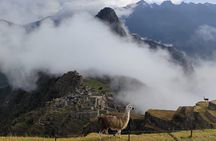 Short Inca Trail to Machu Picchu