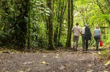 Rio Celeste Waterfall in Tenorio Volcano National Park Tour