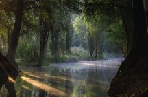 UNESCO Sites Discovery Tour in Mexico City