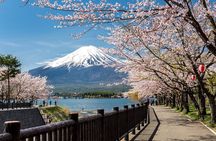 Mt Fuji, Hakone Private Tour by Car Pickup from Tokyo