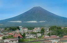 Mt Fuji, Hakone Private Tour by Car Pickup from Tokyo