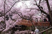 Mt Fuji, Hakone Private Tour by Car Pickup from Tokyo