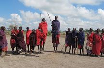 6 Days Group Safari in Mara, Nakuru and Amboseli, Ugraded lodges