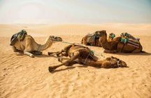 The Great Raid of Southern Tunisia: Twelve and Tozeur 03 Days