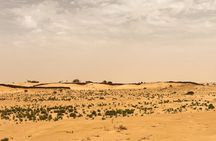 The Great Raid of Southern Tunisia: Twelve and Tozeur 03 Days