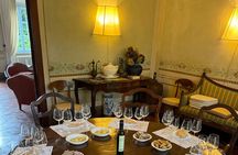 Wine tasting in Lucca with sommelier - The great wines of Tuscany