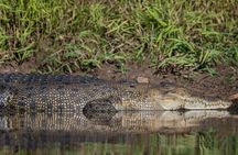Kakadu National Park, Yellow Water River Cruise, Small Group 3C