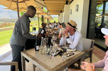Private Full Day Wine Tour: Stellenbosch and Franschhoek & Paarl