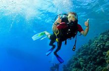 Join our Daily Diving Trip with 2 dives Transfer & Lunch-Hurghada