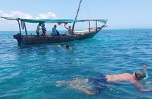 Private Full Day Safari Blue Tour